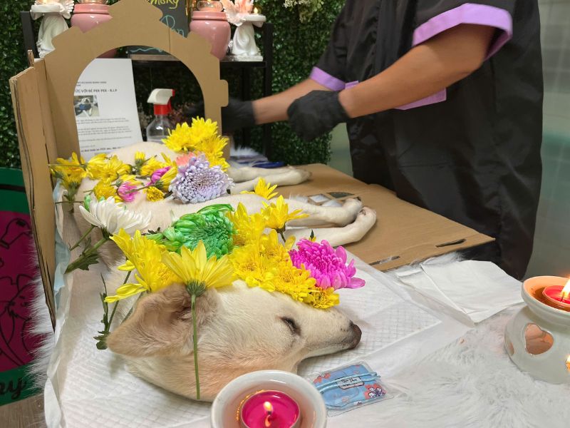 Có nên thắp nhang cho chó không