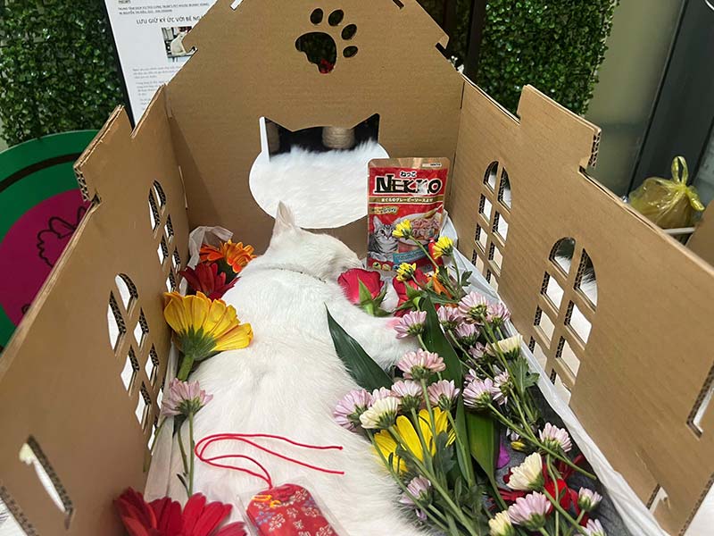LƯU GIỮ KÝ ỨC VỚI BÉ MORI