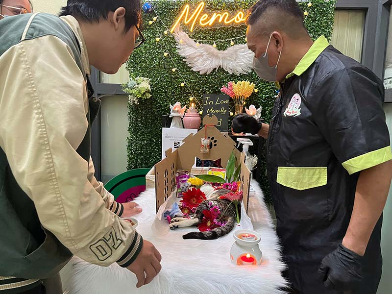 Có nên mang tro cốt thú cưng về nhà không
