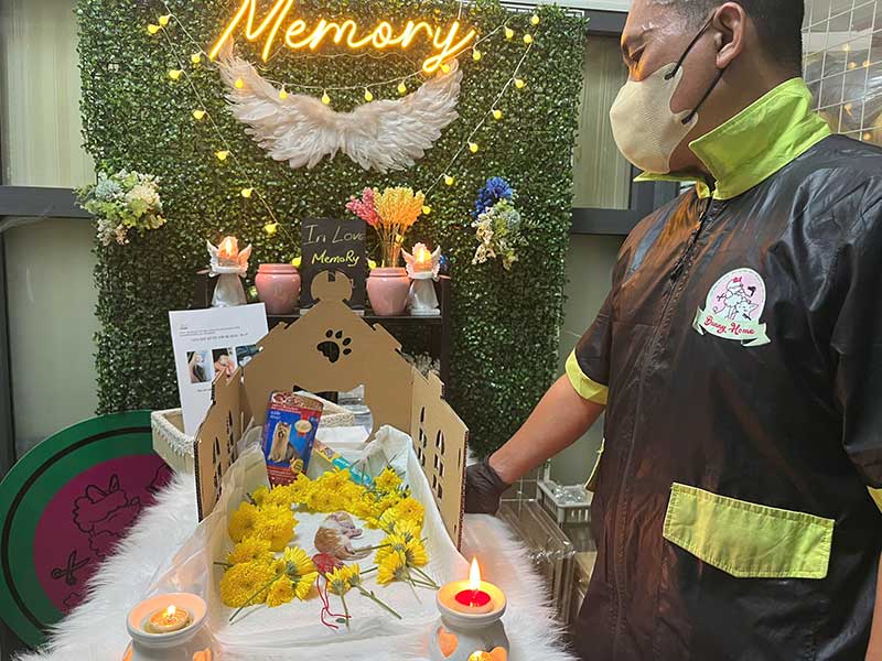 Luu giu ky uc thu cung
