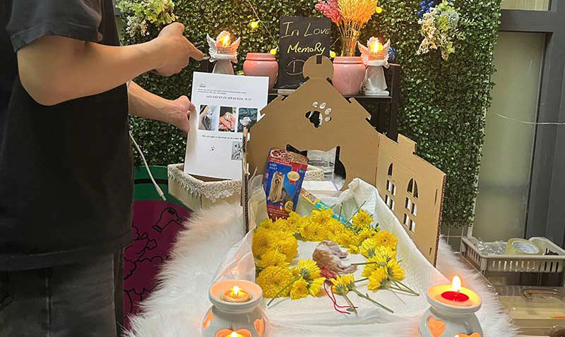 Hỏa táng chó mèo tận tâm