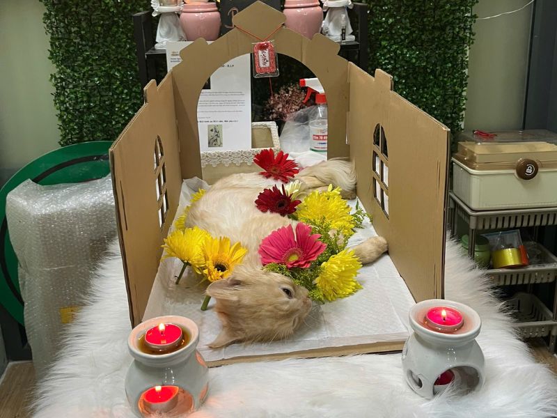 Tẫn liệm thú cưng giá rẻ