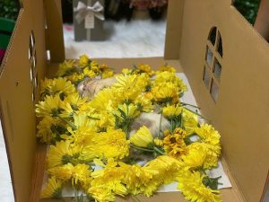 Tẫn liệm thú cưng là gì