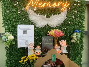 Hỏa táng thú cưng quận 12
